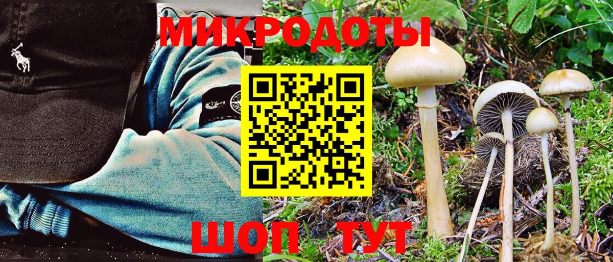 Галлюциногенные грибы мухоморы Вольск